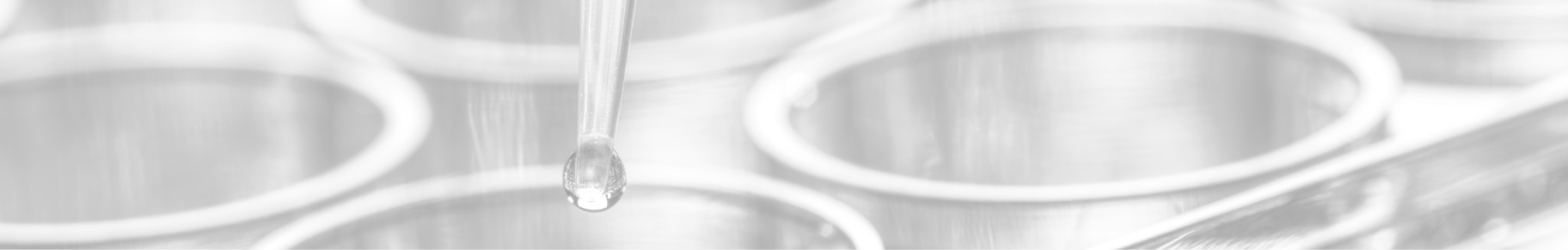 Header - professionnels - preanalatique - guide